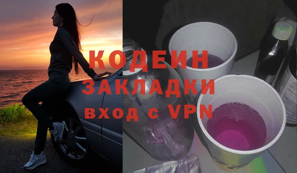 2c-b Гусев