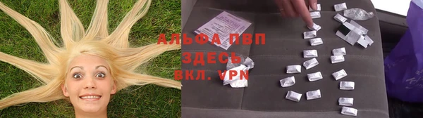 2c-b Гусев