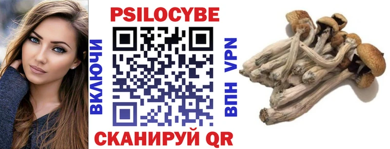 Купить где  Великий Устюг  Псилоцибиновые грибы GOLDEN TEACHER 